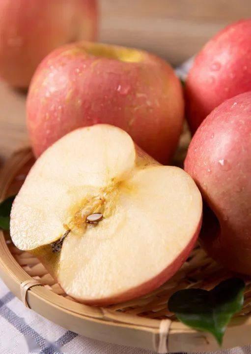 娱乐吃瓜作品有哪些类型,吃瓜群众的多元化娱乐作品类型大盘点  第2张